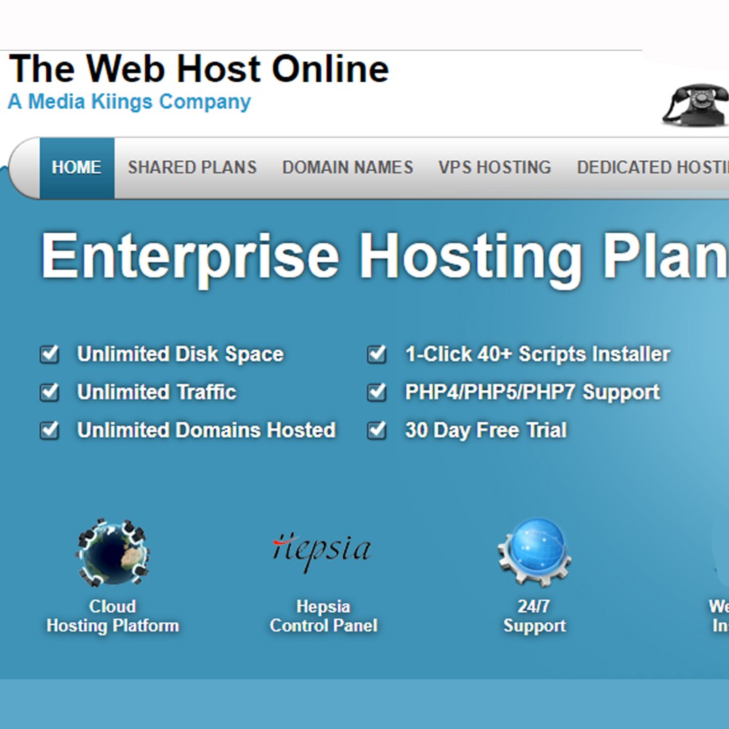 The Web Host Online